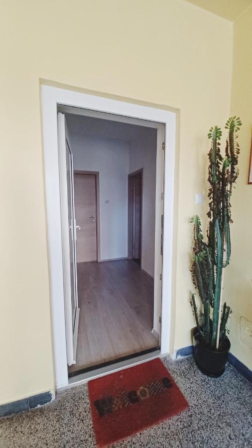 Apartman Dora Appartamento Pola Esterno foto